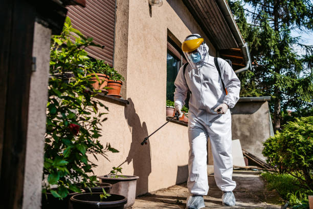 Best Termite Control Services  in Middle River, MD