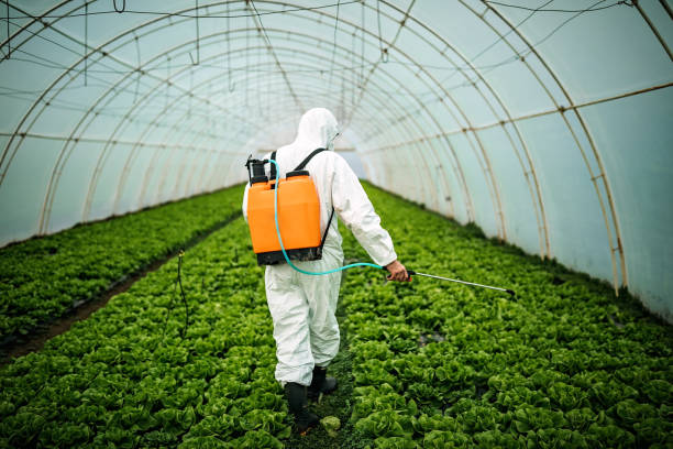 Pest Control Cost in Middle River, MD