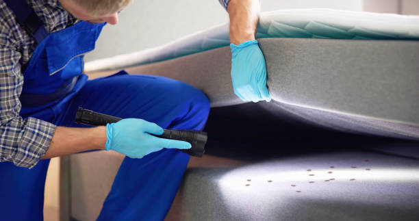 Best Pest Control Cost  in Middle River, MD