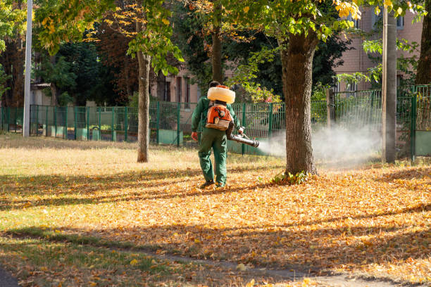 Trusted Middle River, MD Pest Control Experts