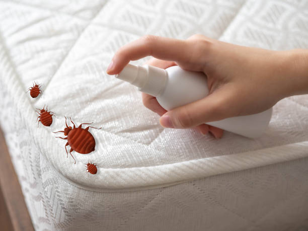 Best Best Pest Control Companies  in Middle River, MD