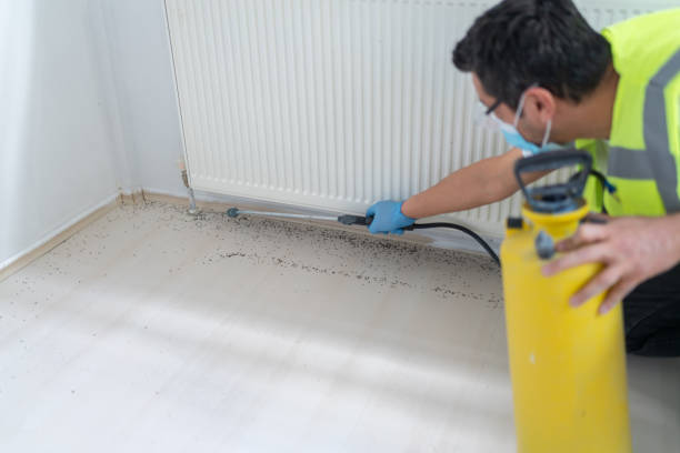 Best Ant Control Services  in Middle River, MD