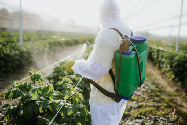 Best Cockroach Control Services  in Middle River, MD